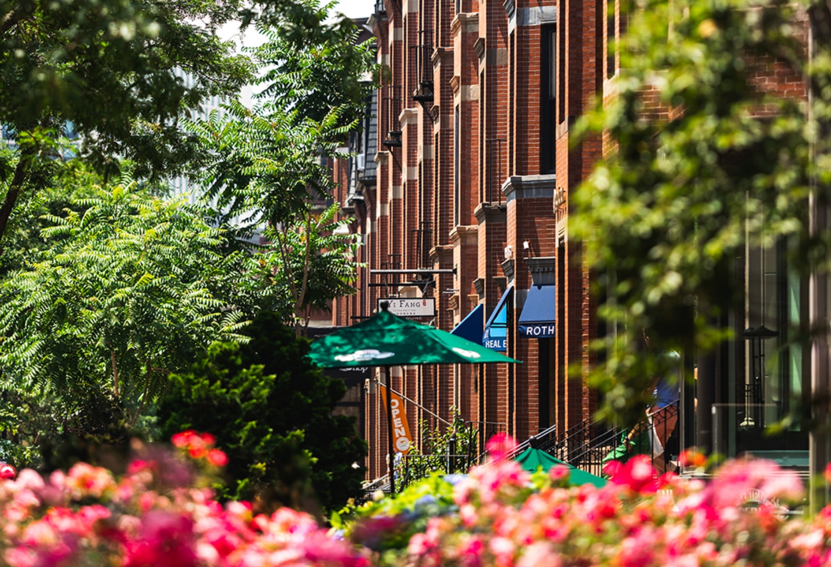 newbury street neighborhood